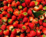 รูปขั้นตอนการทำที่ 1 ของ ไวน์สตอเบอรี 🍓 🍷 / Strawberry wine 🍓 🍷