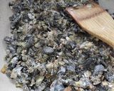 Foto del paso 7 de la receta: Crema de Huitlacoche 🌽🍄