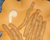 Foto langkah ke 6 dari resep Kentang goreng keju.