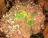 Foto del paso 2 de la receta: PACHOLAS “REY INFIERNO”
