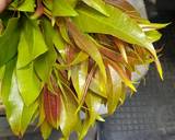 แกงเห็ดใส่ผักติ้ว#รักบ้านเกิด วิธีทำสูตร 2 รูป