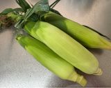 A picture of step 1 of Easy! Corn in the microwave.
