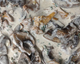 A picture of step 2 of Mushroom Sauce.