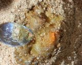 Foto del paso 2 de la receta: Pie de limón sin hornear
