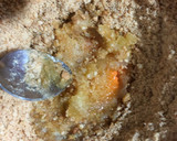 Foto del paso 2 de la receta: Pie de limón sin hornear