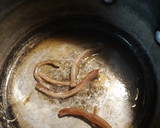 A picture of step 2 of A Soup of Beans.