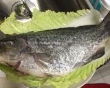 Foto langkah ke 3 dari resep Ikan Tim Jahe & Daun Bawang | Steamed Fish with Ginger & Shallots |.