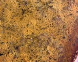 Foto del paso 4 de la receta: Lasaña de calabacín y carne