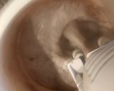Fekete erdő torta recept fázis 6 fotója