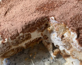 Foto del paso 15 de la receta: Tiramisú casero!