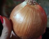 Foto del paso 1 de la receta: Sopa con Bondiola de Cerdo (31)