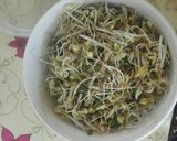 عکس مرحله 1 از دستور جوانه پلو با ماهی