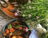 Une image de l'étape 10 de Moules🐚🪸à la provençale 🐋🍃.