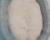 Foto langkah ke 12 dari resep Basic Sourdough Bread 96% (Oven Tangkring).