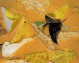 Foto langkah ke 6 dari resep Telur Tahu Tempe Labu Kuah Kuning.