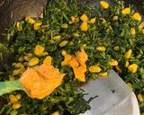 A picture of step 4 of Spinach quesadilla with Thousand Island dressing!.