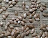Vickys Garlic & Paprika Roasted Pumpkin Seeds, GF DF EF SF NF recipe step 3 photo