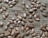 A picture of step 3 of Vickys Garlic & Paprika Roasted Pumpkin Seeds, GF DF EF SF NF.