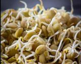 Foto del paso 2 de la receta: Germinado de lenteja