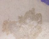 A picture of step 4 of Yeast doughnut.