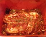 Kimchi recipe step 11 photo