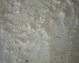 A picture of step 1 of Fish fingers.