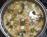Foto del paso 9 de la receta: Sopa cultivateur al sasón del hogar