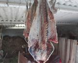 Foto del paso 3 de la receta Salazón de pescados