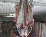 Foto del paso 3 de la receta: Salazón de pescados