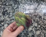 Foto del paso 1 de la receta: Alcauciles en su Caldo