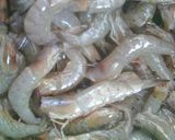 Foto langkah ke 1 dari resep Peyek udangku..🍤🍤🍥.