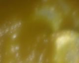 A picture of step 6 of Khata masala aam papad.