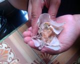 Foto langkah ke 3 dari resep Siomay Ayam Udang🍤.
