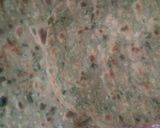 A picture of step 4 of Methi Paratha.