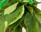 Hình bước làm 3 của món Nem Tai Lá Sung