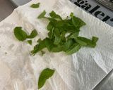 Une image de l'étape 11 de Salade de melon, groseilles rouges, pomelo, abricots et menthe.