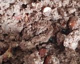 A picture of step 1 of Hazelnut cocoa biscuits.