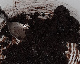 Foto del paso 1 de la receta: Torta oreo