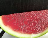 Foto langkah ke 7 dari resep Semangka Jelly.