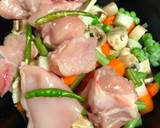 Chicken & Vegetable Stew recipe step 3 photo