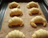 Foto del paso 4 de la receta: Bizcochos de manteca