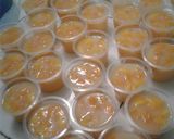 Foto langkah ke 4 dari resep Puding mangga.