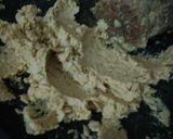 Foto langkah ke 2 dari resep Nugget Tempe tanpa kukus.