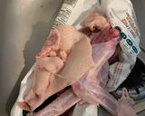 Foto del paso 1 de la receta: Pato entero teriyaki-neldo