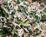 Foto langkah ke 3 dari resep Urap Tumis ala Xiellakitchen.