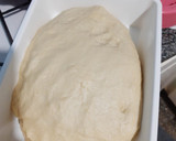 Foto del paso 4 de la receta: Pan Dulce Navideño