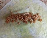 صورة لخطوة 4 من وصفة كلاج بالجوز 😋