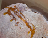 A picture of step 4 of Slow Roasted Greek Leg of Lamb.