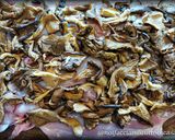 Foto del passaggio 3 della ricetta Coniglio ripieno di Funghi e Salsiccia al Forno