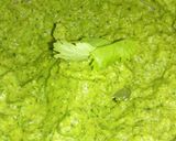 લીલી ચટણી કોથમીરની (Coriander chutney recipe in Gujarati) રેસીપી સ્ટેપ2ફોટો